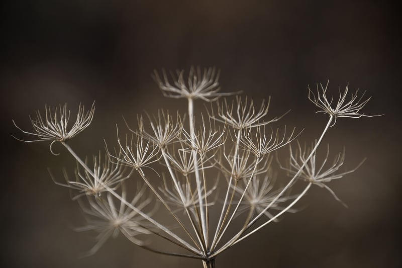 Subtle Utterances